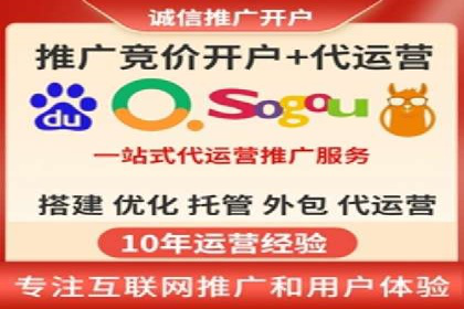 SEM推广案例：揭秘高ROI背后的策略与实践